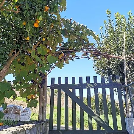 Bed & Breakfast The Far End Surf House - Surf & Yoga Holidays Lourinhã